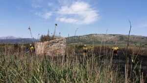 incendio ses jonqueres veres