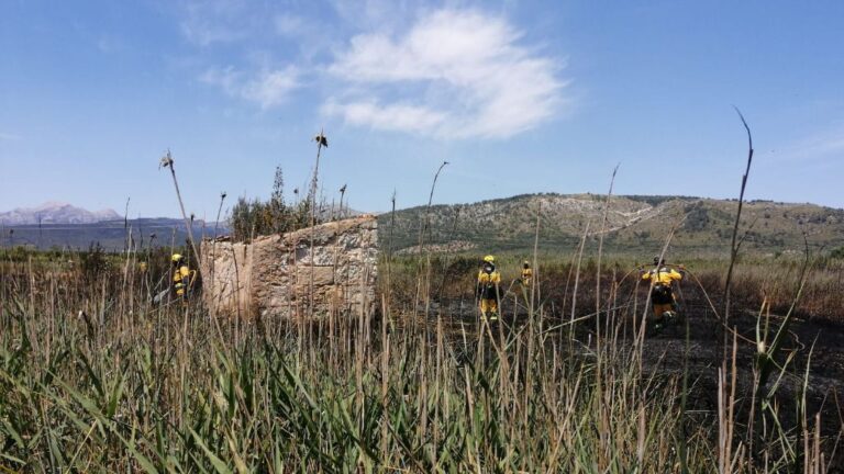 incendio ses jonqueres veres