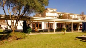 residencia ancianos consell