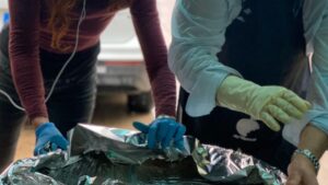 fofo robledo comedor tardor