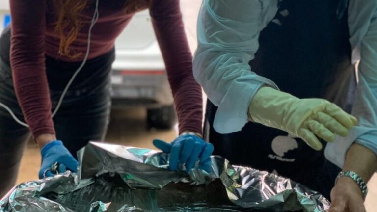 fofo robledo comedor tardor