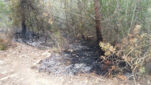 incendio pinar sant antoni