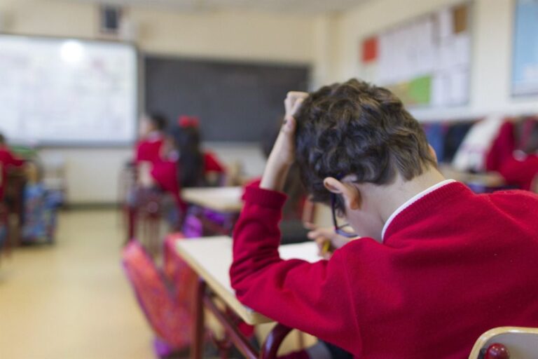 colegio niño estudiante clase