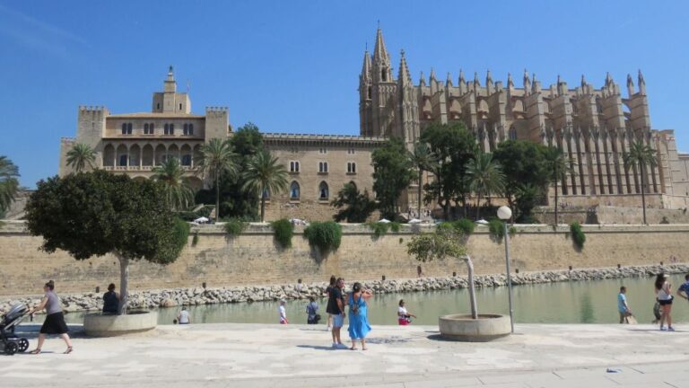 turismo palma turistas centro catedral ser