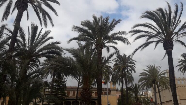 nubes