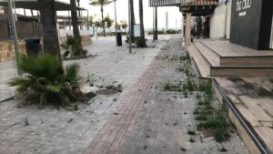 hierbajos playa de palma plan piloto