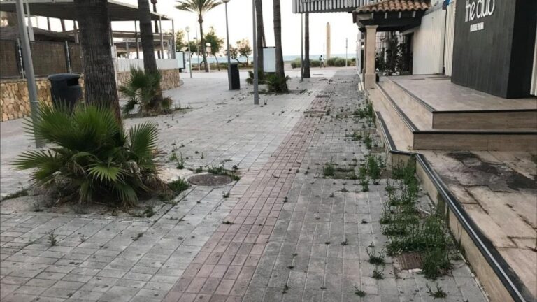 hierbajos playa de palma plan piloto