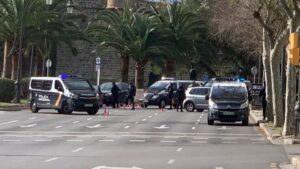 controles palma coronavirus