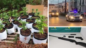 guardia civil marihuana