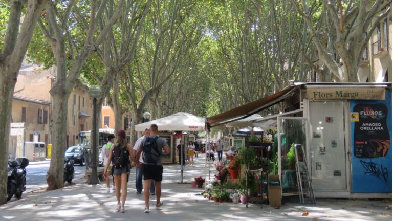 ramblas palma
