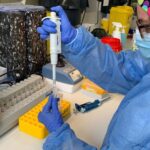 coronavirus-laboratorio-pcr