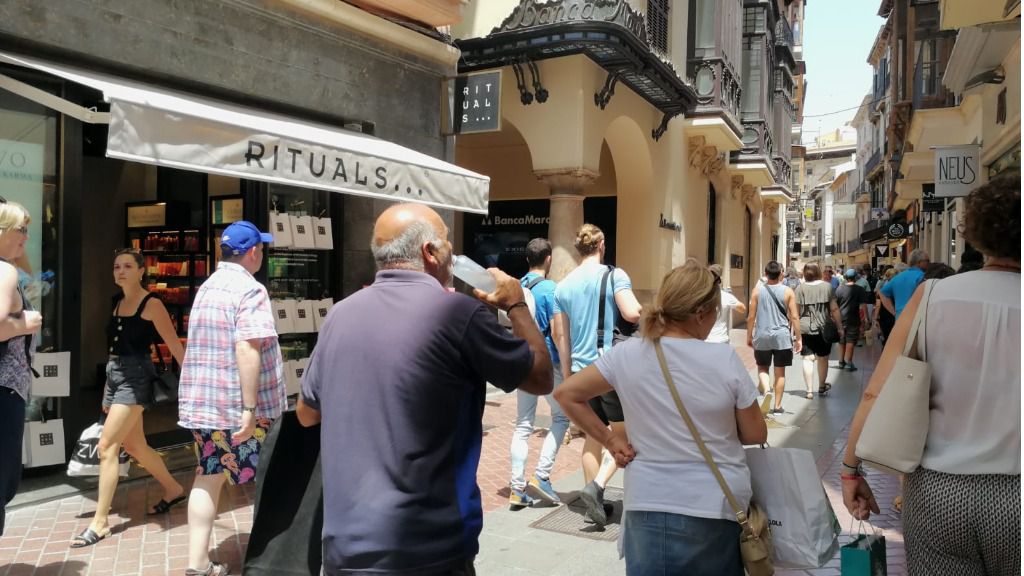 calor palma