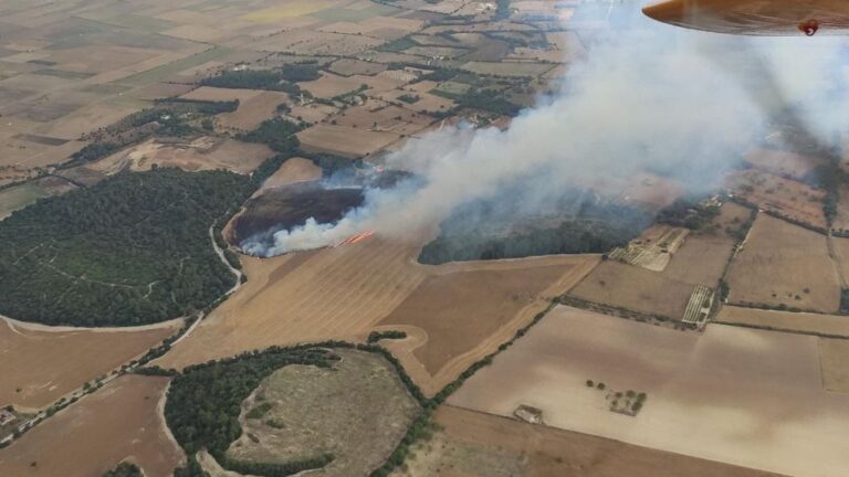 fuego, incendio