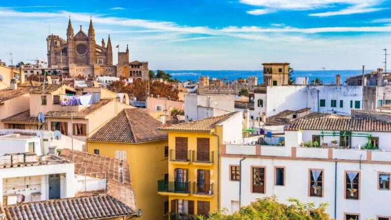 Seu Palma