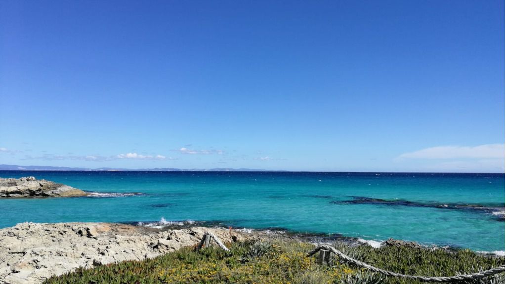 es cal&oacute; formentera