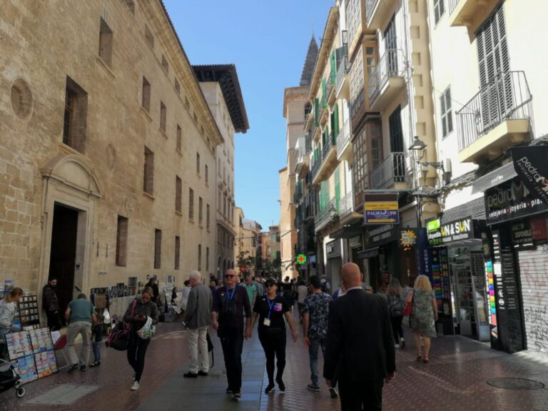 turismo palma turistas