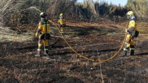 incendio selva ibanat bombers mallorca