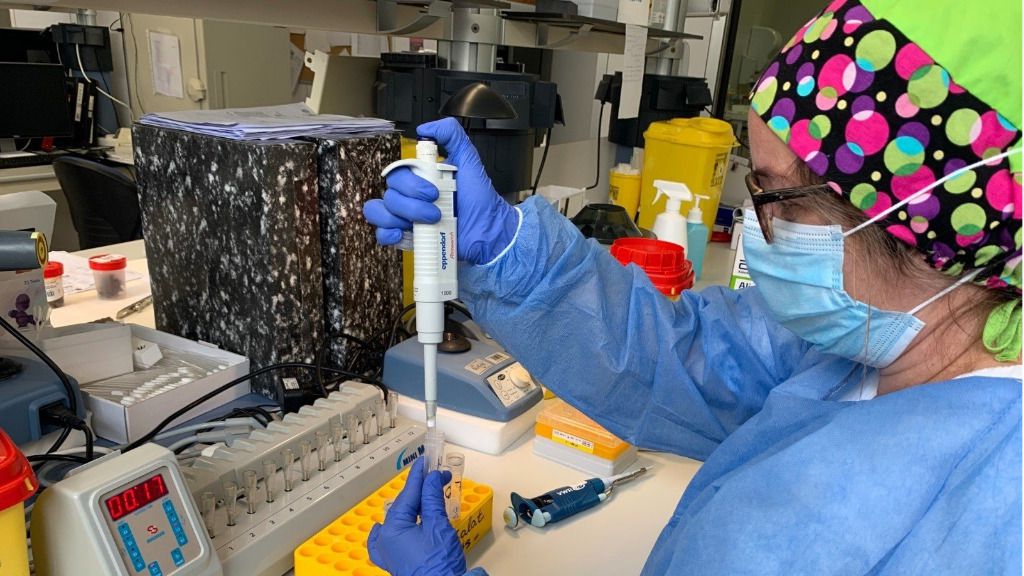coronavirus-laboratorio-pcr
