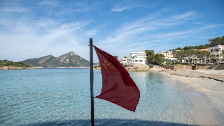 coronavirus-calvia-bandera-roja