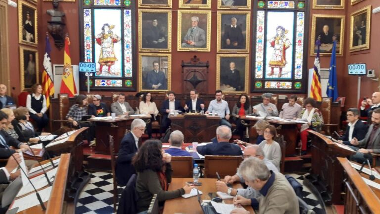 pleno ayuntamiento de Palma