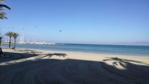 Hoteleros estallan: Llucmajor deja sin hamacas ni sombrillas a s&rsquo;Arenal