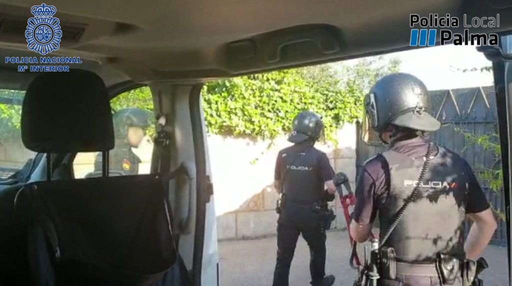 policia