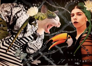 nit de l&rsquo;art de s&rsquo;Arrac&oacute;