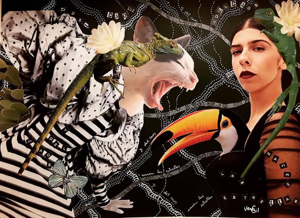 nit de l’art de s’Arracó