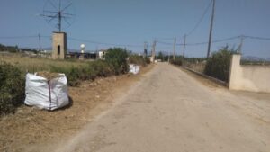 desbroce, limpieza caminos Palma