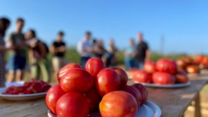 terracor agricultura