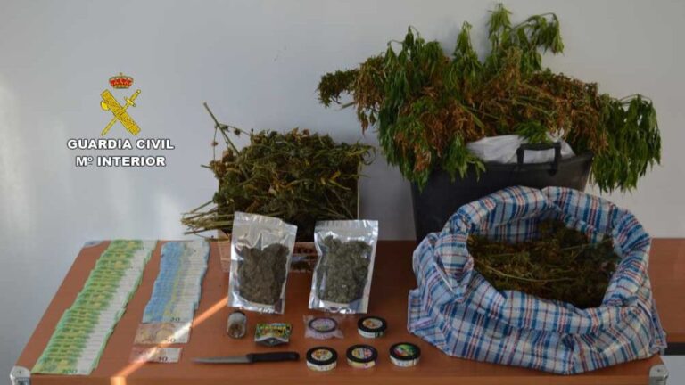 marihuana calvià