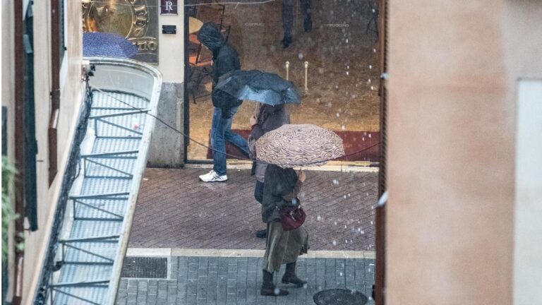lluvia palma