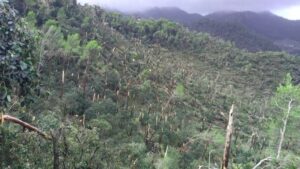 VIDEOS: @mariiadarder y @Tonijuan34 FOTO: Aemet facilitada por Guardia Civil