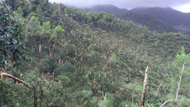 VIDEOS: @mariiadarder y @Tonijuan34 FOTO: Aemet facilitada por Guardia Civil