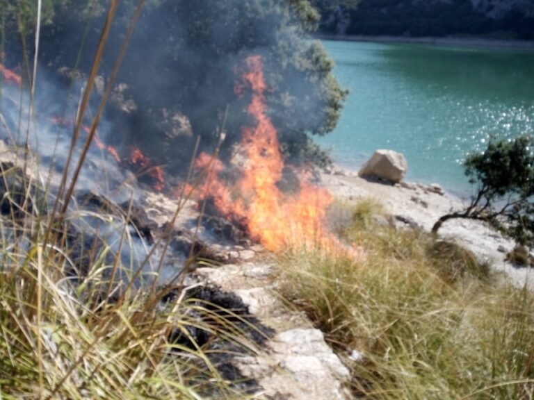incendio gorg blau