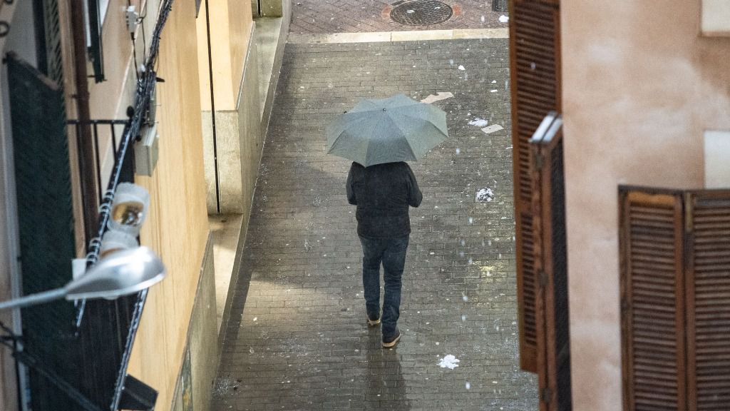 lluvia palma