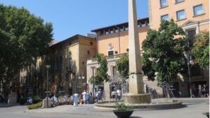 plaza de las tortugas sol cielo despejado buen tiempo palma