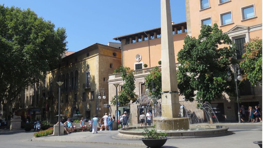plaza de las tortugas sol cielo despejado buen tiempo palma