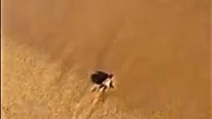 Foto y v&iacute;deo @el_mesa