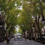 Fin de semana primaveral en Baleares.