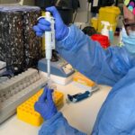 coronavirus-laboratorio-pcr