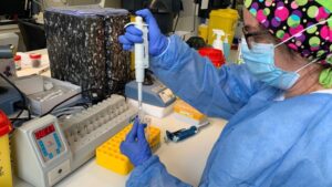 coronavirus-laboratorio-pcr