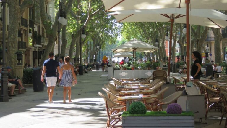 terrazas turismo palma hosteler&iacute;a restauraci&oacute;n centro palma