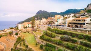 motorista de 39 a&ntilde;os