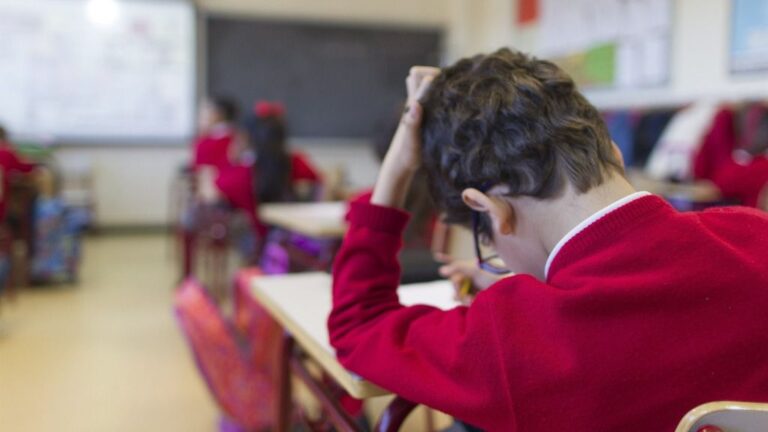 colegio niño estudiante clase