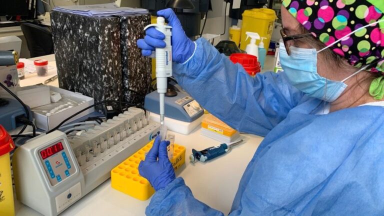 coronavirus-laboratorio-pcr