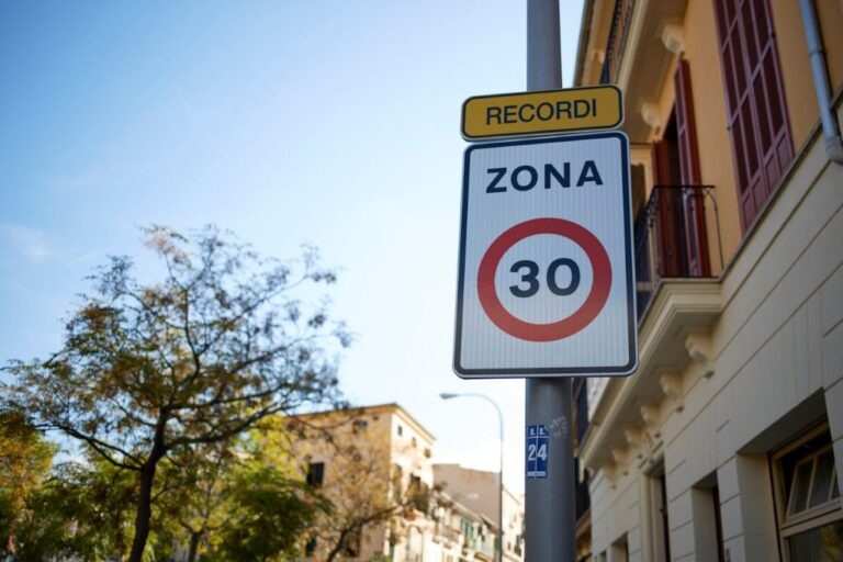 Palma 30