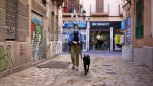 paseo-perro-mascarilla