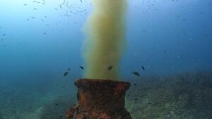 Posidonia, emisaris y fondeos