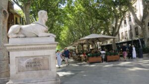 paseo del born palma calle centro